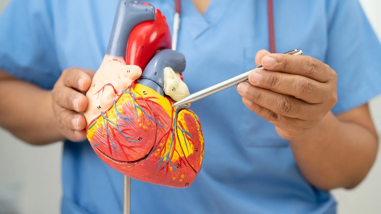 Evaluación Integral de la Angina de Pecho en CDMX