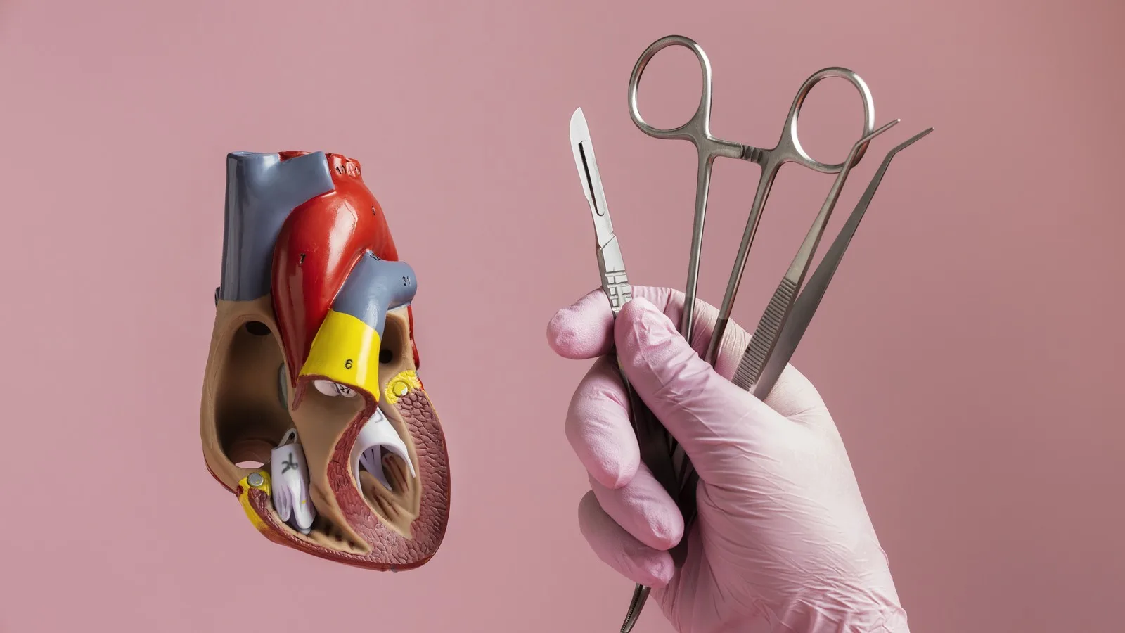 Cardiólogo intervencionista bosque de chapultepec: Opciones médicas en la CDMX
