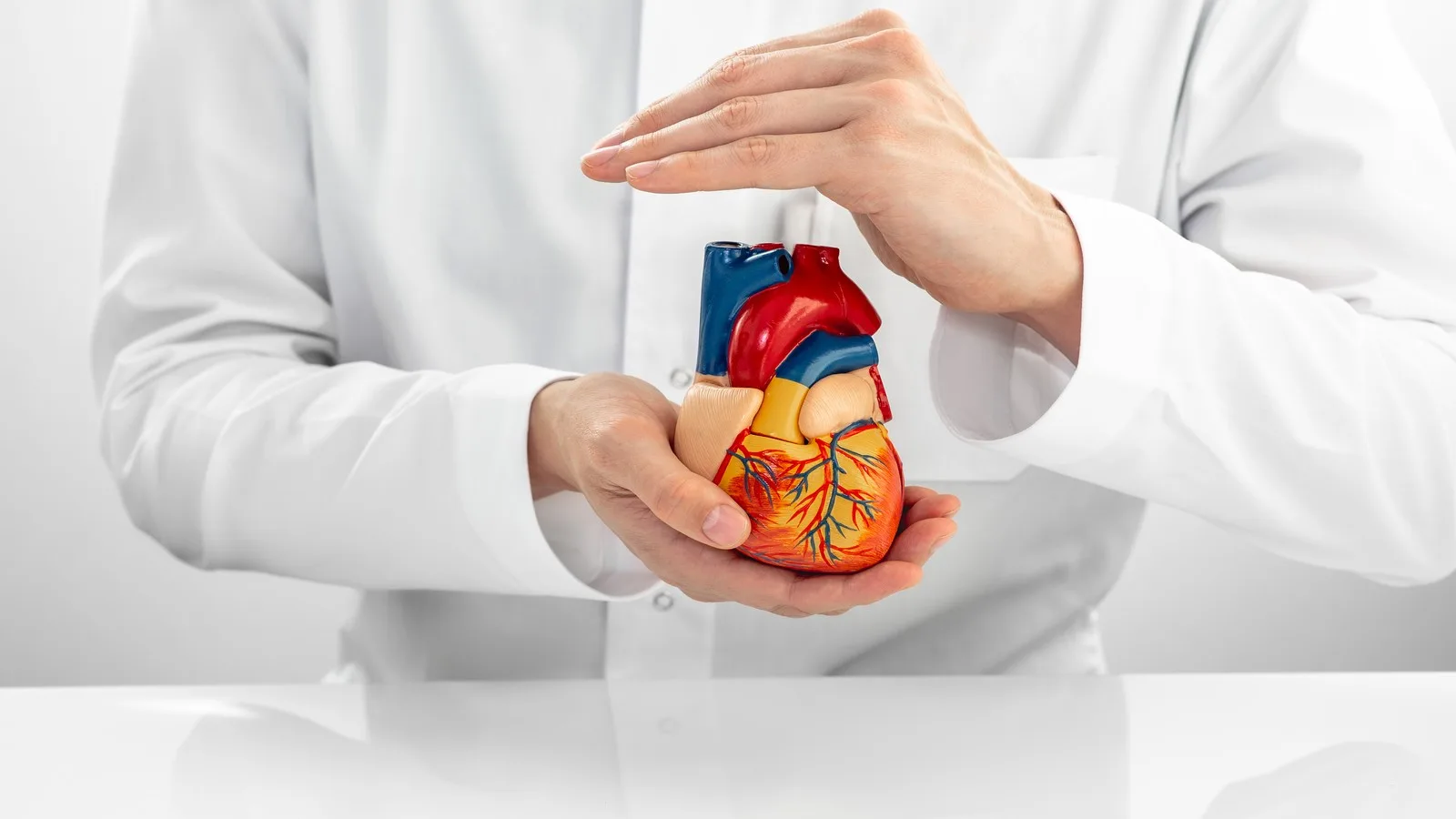 ¿Qué médico trata enfermedad arterial coronaria?