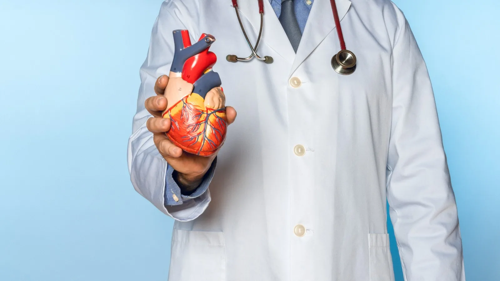 Problemas de circulación coronaria: Especialidad cardiológica en CDMX